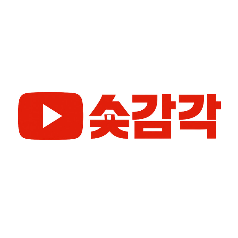 숏감각