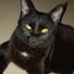 Ui-cIzkk11U-channel-avatar-Antilopa333