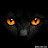 @akimusca-d9b