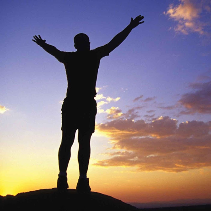 Vibrant Body Solutions
