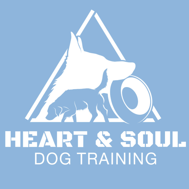 Heart & Soul Dog Training
