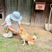 narumi