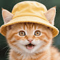 Ginger's Daily Meow Avatar