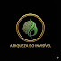 vPmd1eO0pM4-channel-avatar-A Riqueza do Invisível