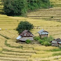 Countryside Thailand