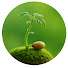 SiciwSqz7BM-channel-avatar-Plant Care Garden