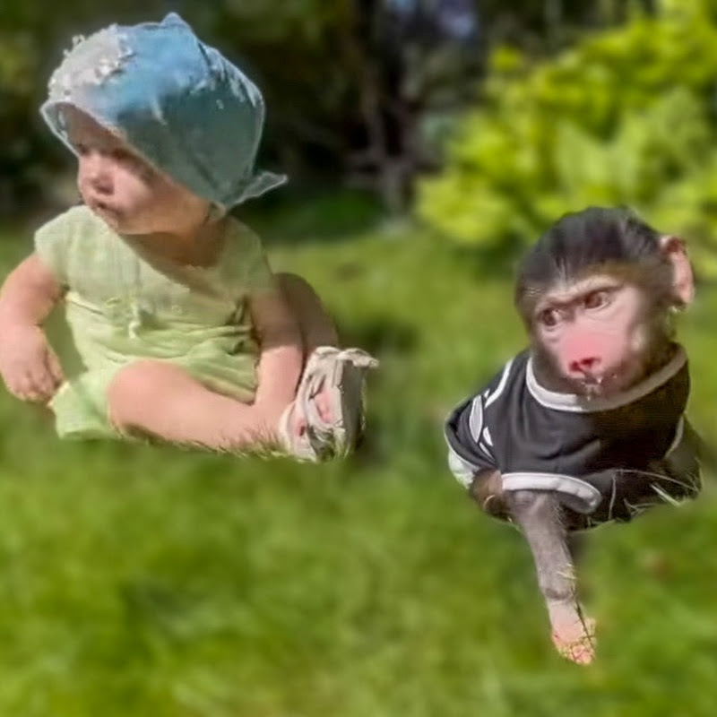 Тайган #Shorts. ЖИВИ, Стёпка, ЖИВИ! Logo