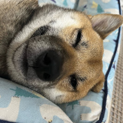 ろっきー