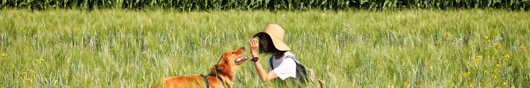 Toffee the Golden Pup Avatar de canal de YouTube