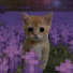 Z595QZu25Ys-channel-avatar-Kano