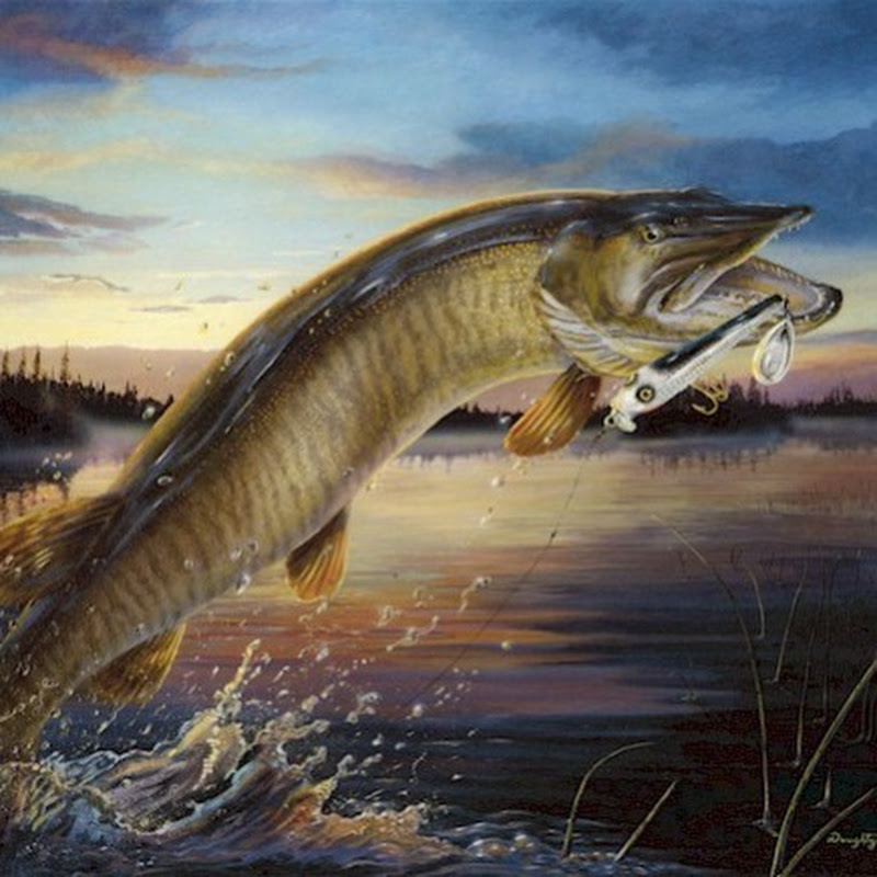 all things fishing and outdoors