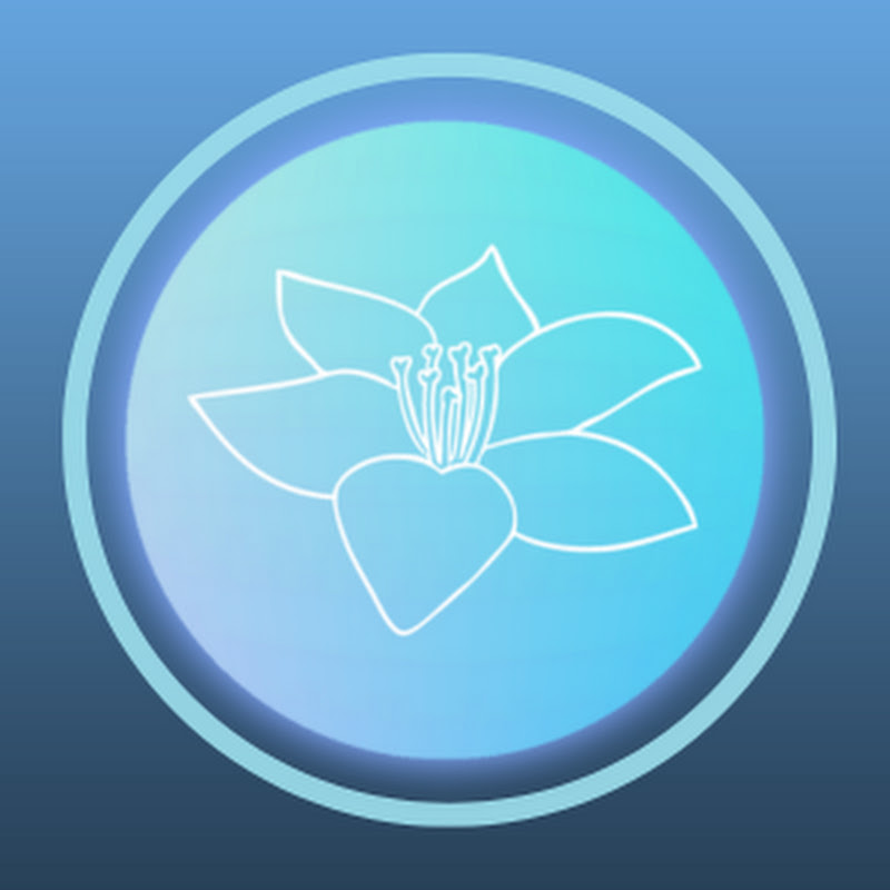 Dream Reality Meditation Music