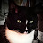 Photo of @pam1574