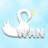 스완 (SWAN) 라인댄스 