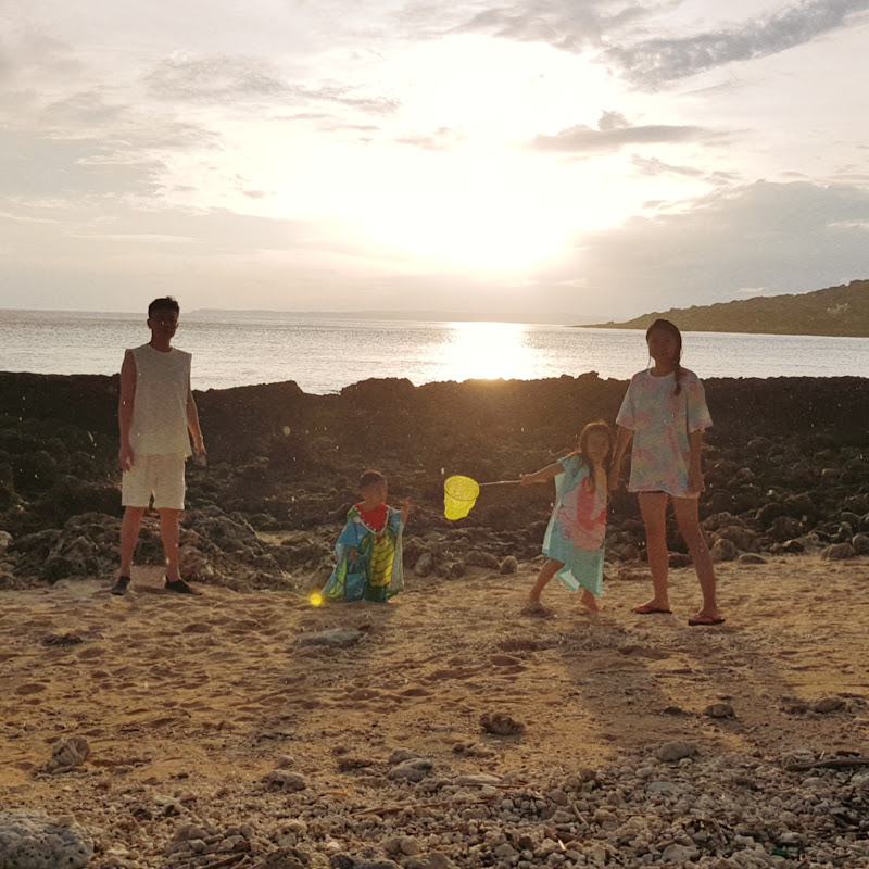 2大2小去哪裡 Logo