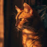 _9wkTeV3bTk-channel-avatar-Ngày Nắng Hạ