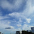 N-VbamzN9LU-channel-avatar-NekoMya_TOKYO
