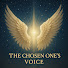 jrU4YSEhRQU-channel-avatar-The Chosen One’s Voice
