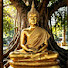 pe5C_megefg-channel-avatar-พุท โธ ชาแนล