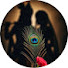 Oqa-CS_fmBY-channel-avatar-Jyoti Vishwakarma