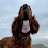 @harrybarr3873 Avatar