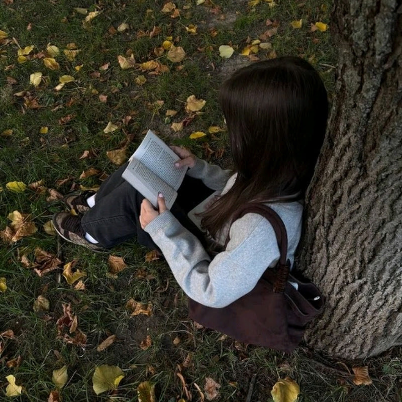 🍂𝐸𝑚𝑐𝑠𝑎'𝑠 𝑎𝑢𝑡𝑢𝑚𝑛 𝑣𝑖𝑏𝑒𝑠🍂