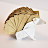 折り紙マイマイ / origami maimai