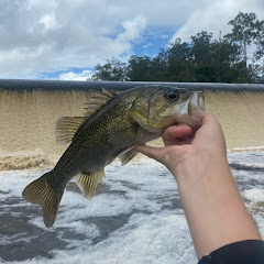 Brax.B fishing