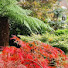 2l4DJdyVgpM-channel-avatar- Tropical Garden Yorkshire 