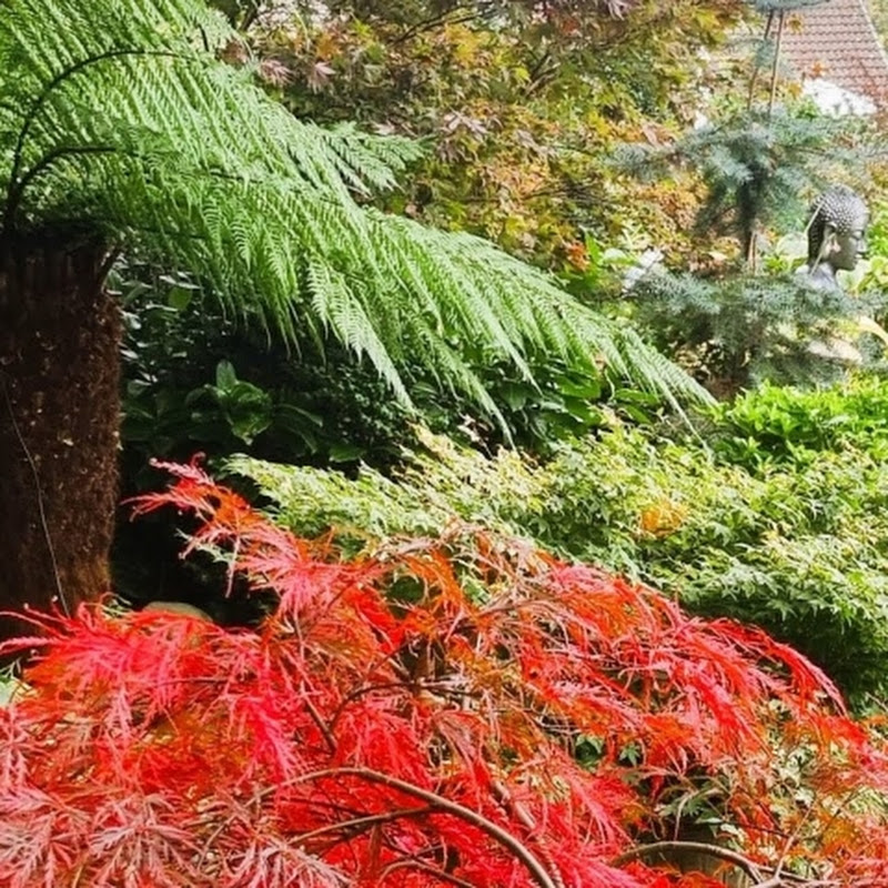 The Yorkshire Garden Sanctuary 