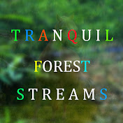 Tranquil Forest Streams