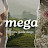 Mega MSTV Guide Vlogs
