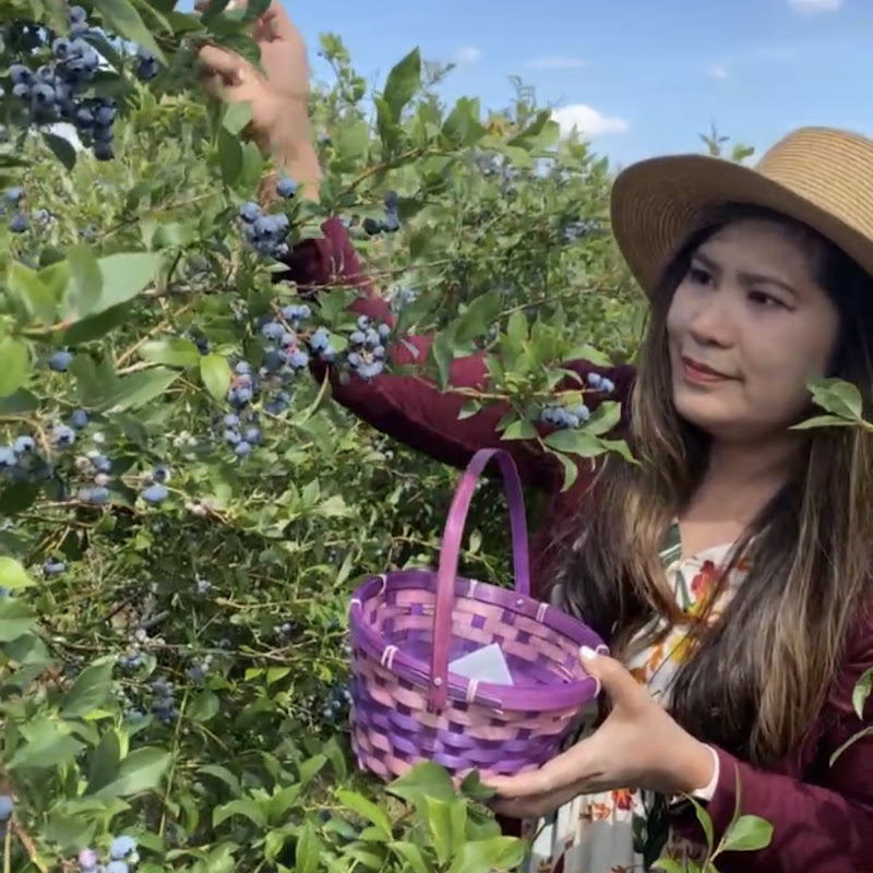 Shine’s  in YouTube 