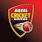 @AqeelCricketOfficial