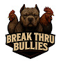 Break Thru Bullies logo