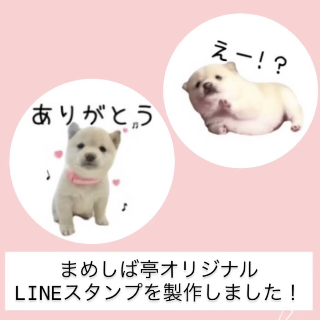 まぁまま♡様用•*¨*•.¸♬︎ YouTube
