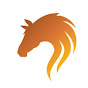 Desert Horsemanship logo