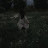 @رنة-ه2و