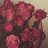 @LoloAlBahr1