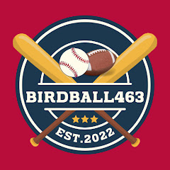 BirdBall463