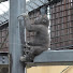 m5YfJLfGs5c-channel-avatar-Favorite Animals