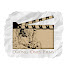 UealHJPwnVk-channel-avatar-Daring Ones Films