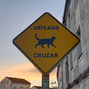 Basque the world