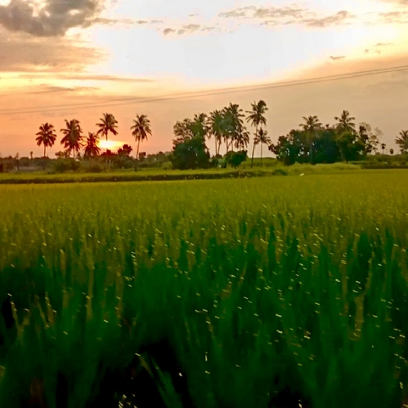 Hire  𝑁𝑎𝑡𝑢𝑟𝑎𝑙 𝑅𝑒𝑒𝑙𝑠 — Sustainable Living (Personal Lifestyle) YouTube creator for sponsorships