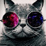 8C6qYjhTsrk-channel-avatar-El Gato