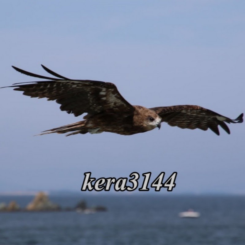 kera3144 promenade YouTubeチャンネル画像