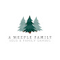 A Meeple Family
