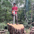 88Hjxk1uHXo-channel-avatar-Vertical Trees