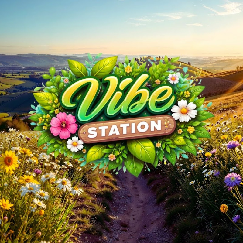 Vibe Station