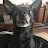 @ArmyOfLegion Avatar